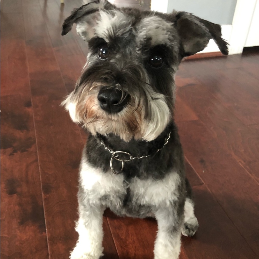 Meet your Posher, Jay C.